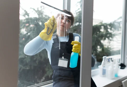 Nettoyage de vitres intérieures et extérieures à Vanzay